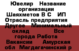 Ювелир › Название организации ­ Шаяхметов В.С., ИП › Отрасль предприятия ­ Другое › Минимальный оклад ­ 80 000 - Все города Работа » Вакансии   . Амурская обл.,Магдагачинский р-н